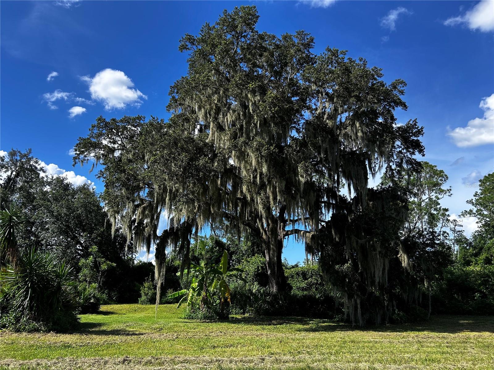 ACREAGE & UNREC - Land