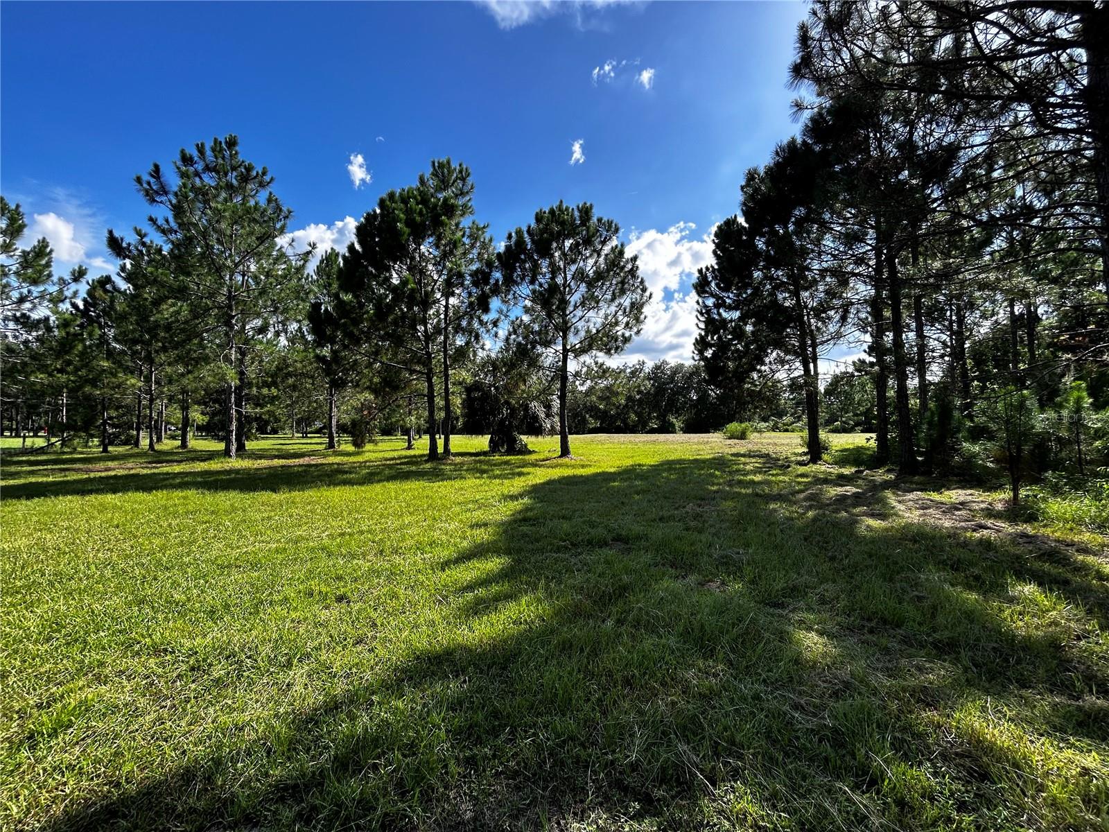 ACREAGE & UNREC - Land