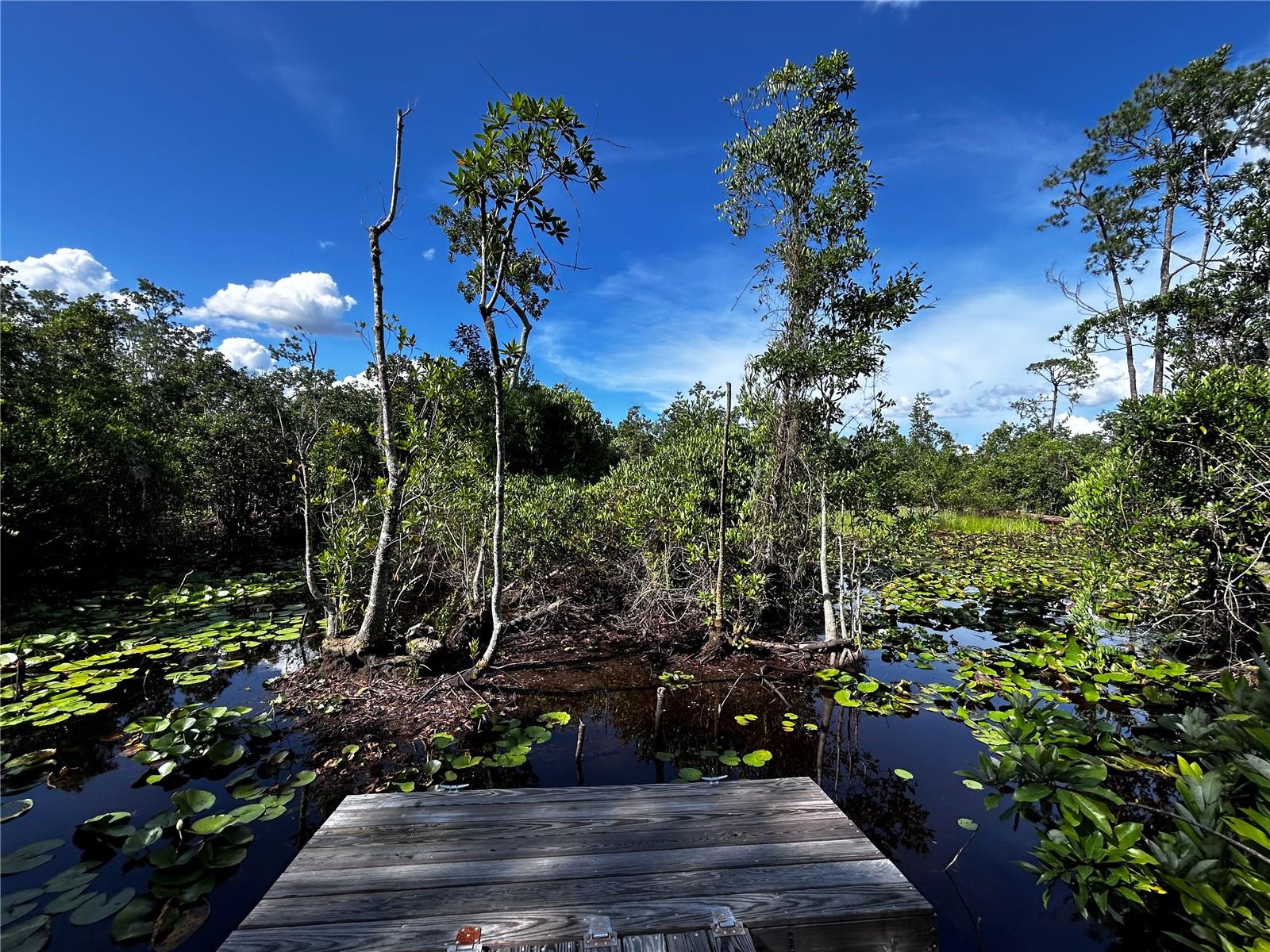 ACREAGE & UNREC - Land