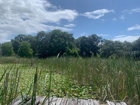 A home in OCKLAWAHA