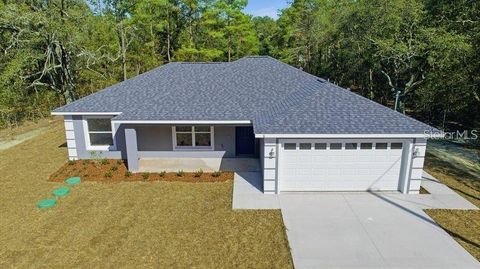 118 BAY DRIVE OCKLAWAHA FL 32179