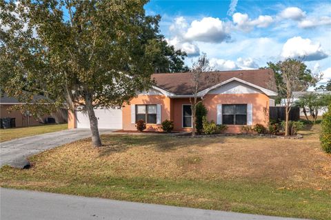 8526 CHERRY HILL DRIVE LAKELAND FL 33810
