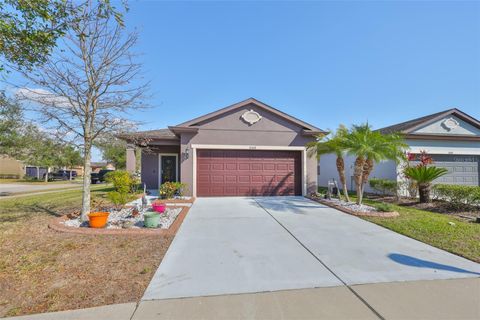 6004 SWEET BIRCH DRIVE RIVERVIEW FL 33578