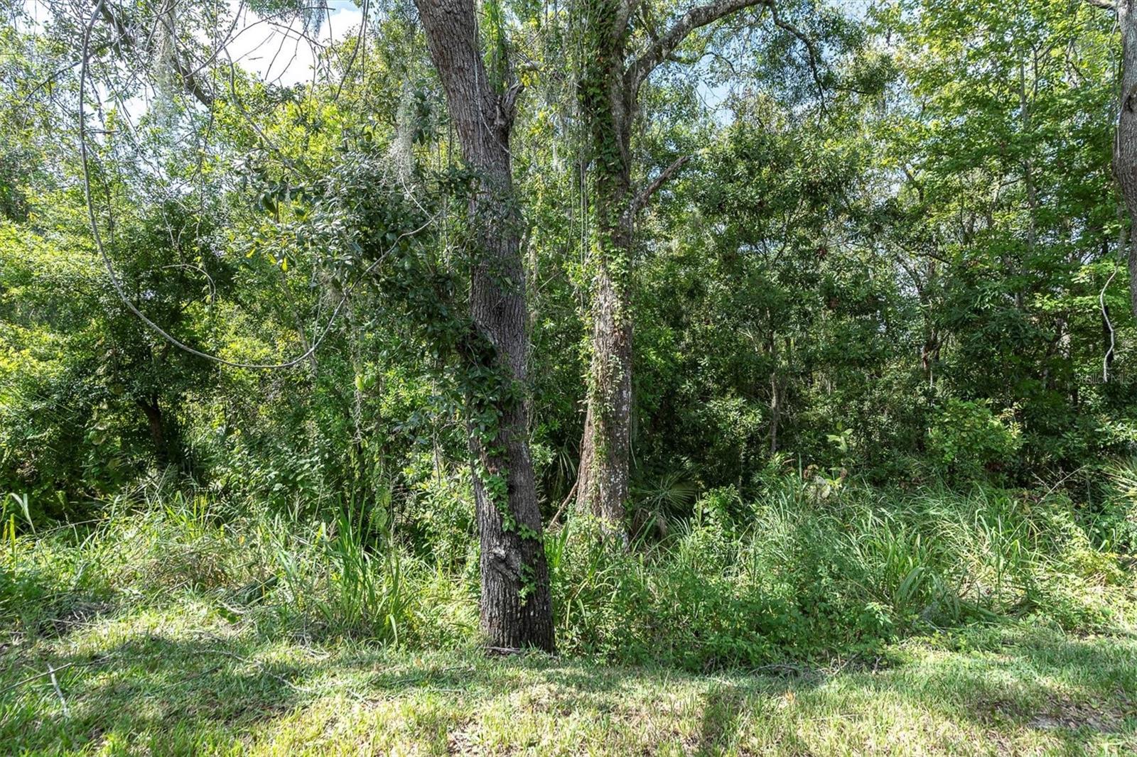 EDGEWATER/RIVER RDG COUNTRY CL - Residential