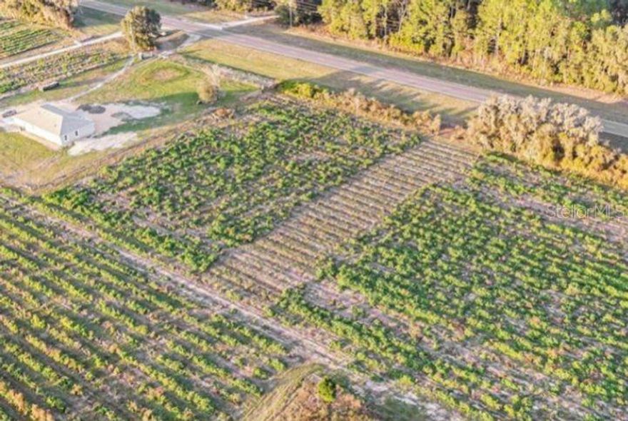 Seeking for a great agriculture investment in Pasco County? Look no further. This gorgeous strip of land offers cleared land to grow your own crops or purchase to invest. Potential for re-zoning.