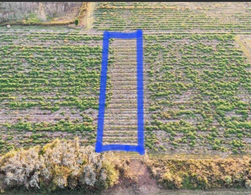 Photo of 00 Hwy 98, Dade City, FL 33523 (MLS # G5105954)