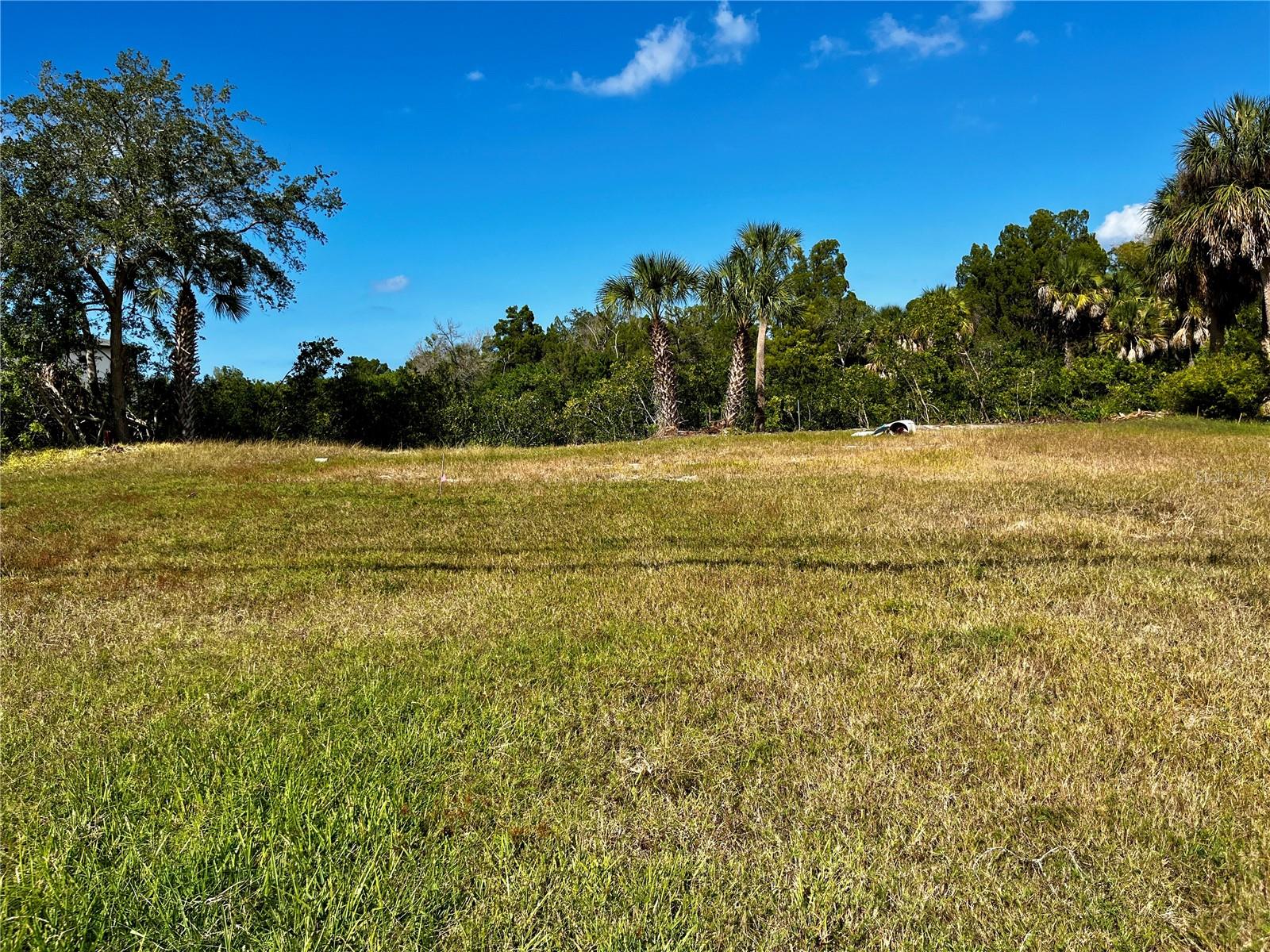 MARTHAS VINEYARD - Land