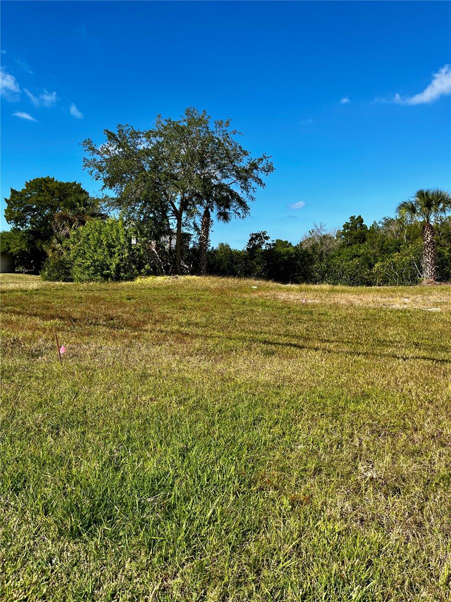 MARTHAS VINEYARD - Land