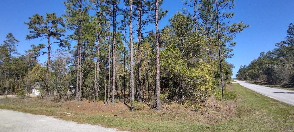 RAINBOW LAKES ESTATE - Land