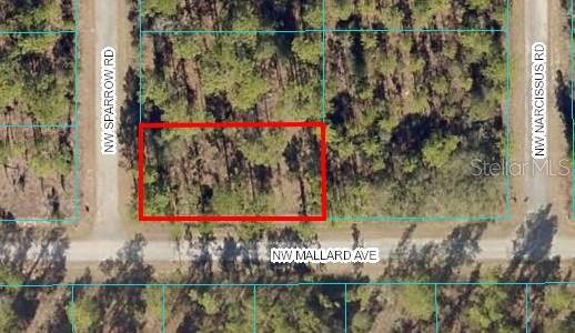 RAINBOW LAKES ESTATE - Land