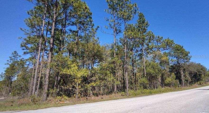 CORNER LOT, HIGH AND DRY, PAVED ROADS AND NEAR POWER!   Located in Rainbow Lakes Estates which is the fantastic location in Dunnellon Florida to Live, Work or Play.  SITE BUILT HOMES only, NO MOBILE HOMES.  Plenty of Lakes nearby, Grocery Stores in local Proximity and Lots of New Development bringing in more infrastructure to the area.   (1) of (2) Lots nearby being sold by the same owner.  Buy this lot or buy both to hold as an investment or build the home of your dreams in the Sunshine State on this land.   https://www.pa.marion.fl.us/patviewer/?PARCEL=1814-010-029