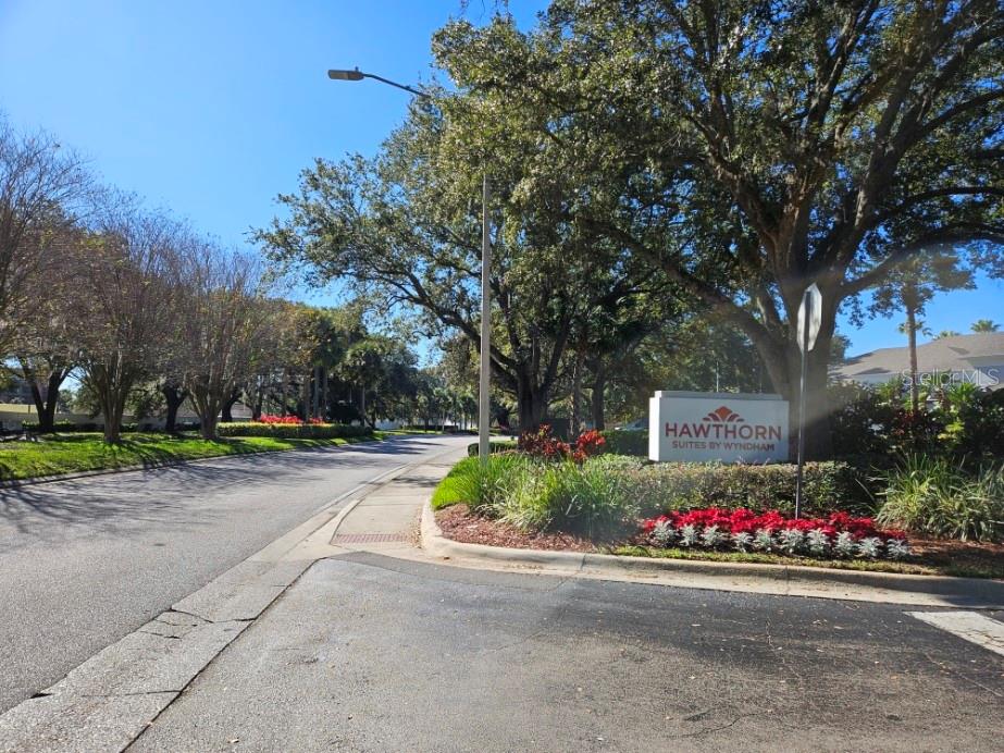 8303 PALM PARKWAY 418