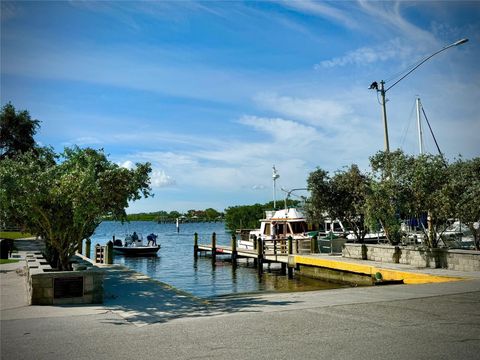 A home in SAFETY HARBOR