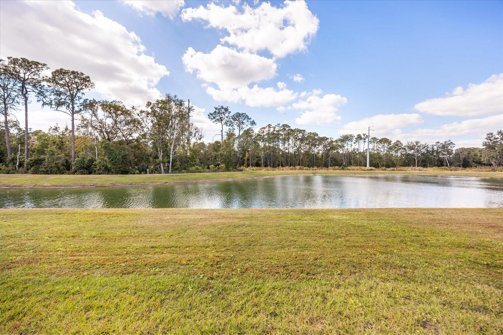 HICKORY RANCH - Residential