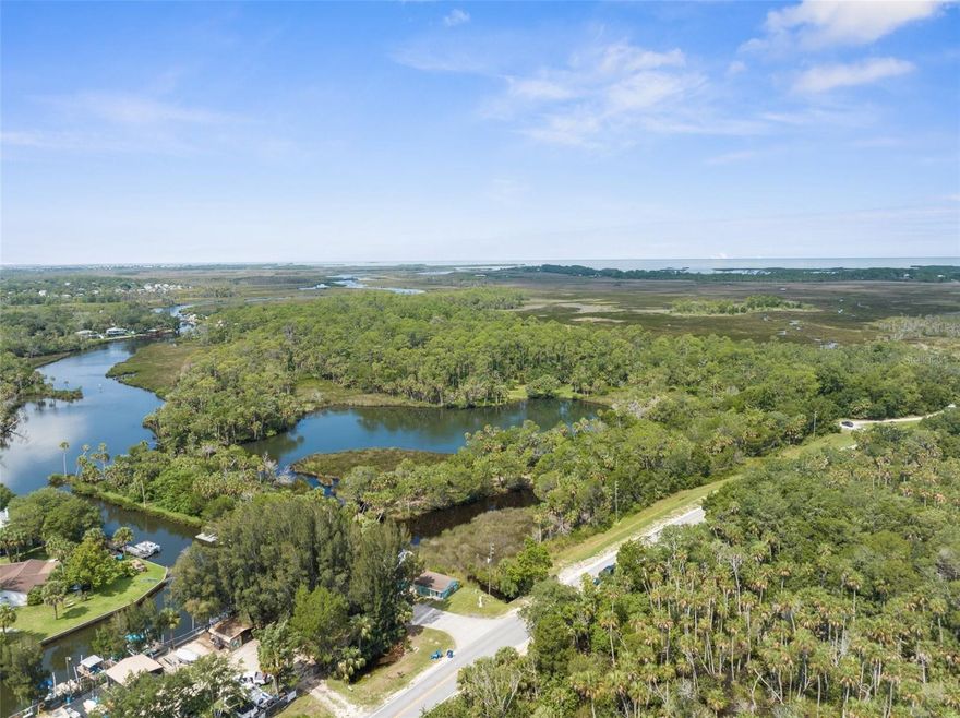 UNBELIEVABLE OPPORTUNITY to own all the land surrounding a NATURAL SPRING in Florida! This property is 38 MOL acres that is the MUD RIVER SPRING and all the land that surrounds it!! The spring feeds the river which flows out to the Gulf of Mexico giving you direct access to the Gulf of Mexico for boating and fishing! The manatees and dolphins come up the river into the spring regularly!! Kayaking, canoeing, paddle boarding, fishing...the water activities are endless! Dive the spring!! Zoned CPDP. Unlimited opportunities...subdivide it into homesites, turn it into an RV Park, or make it your private property for your dream home. Call for more details and the marketing brochure/video.