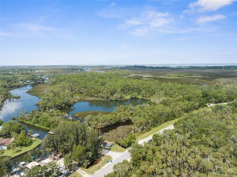 Photo of 0 Marys Fish Camp Road, Spring Hill, FL 34607 (MLS # W7866720)