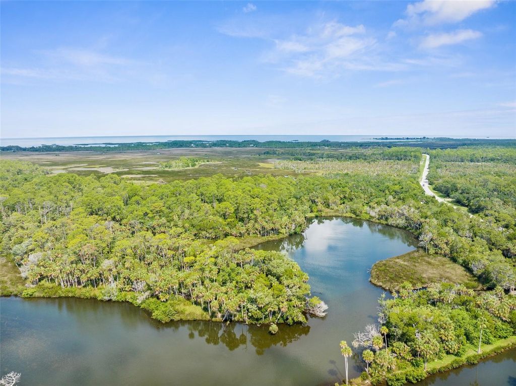 Photo of 0 Marys Fish Camp Road, Spring Hill, FL 34607 (MLS # W7866720)