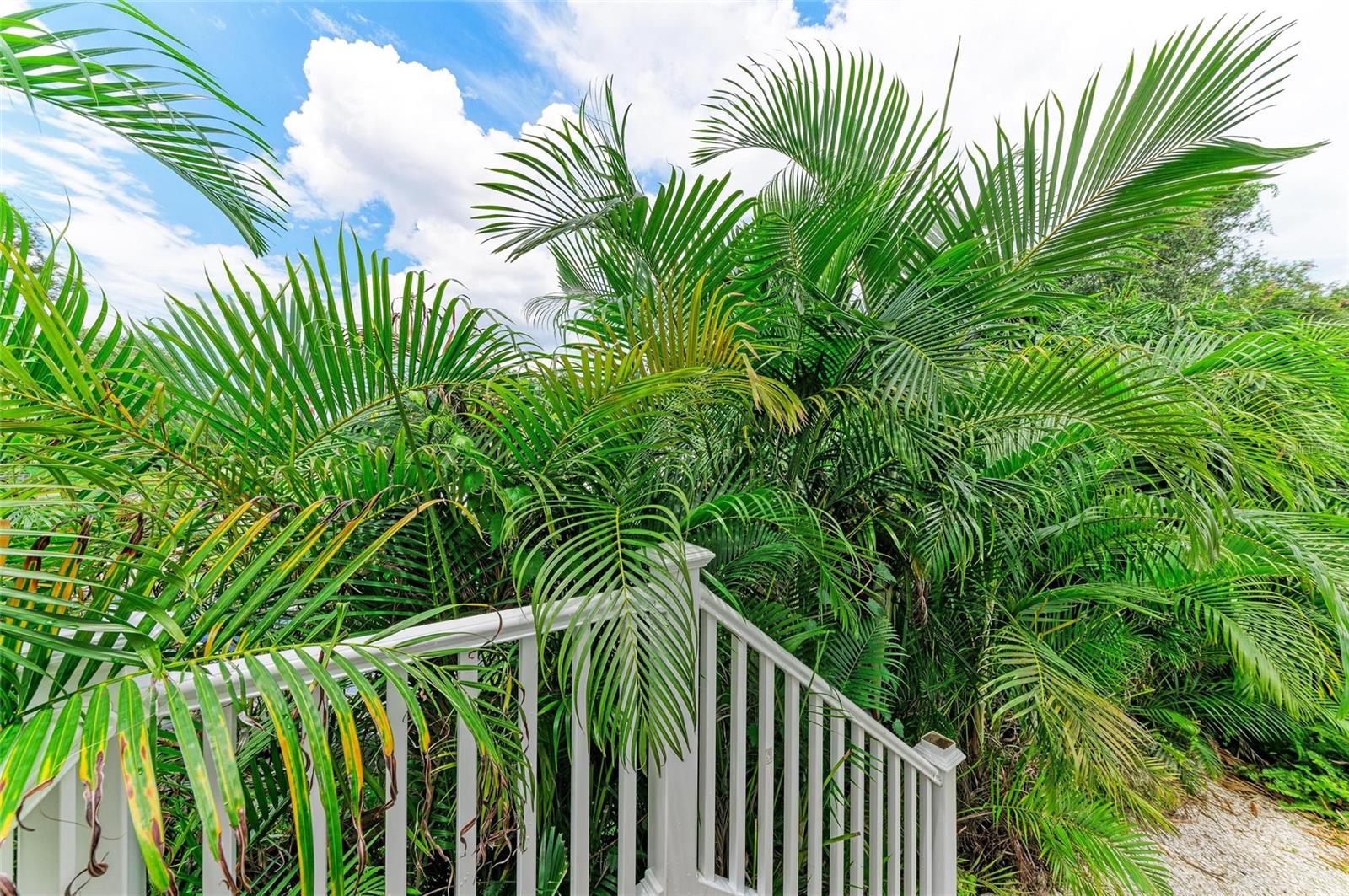 CASTAWAY COTTAGES - Residential