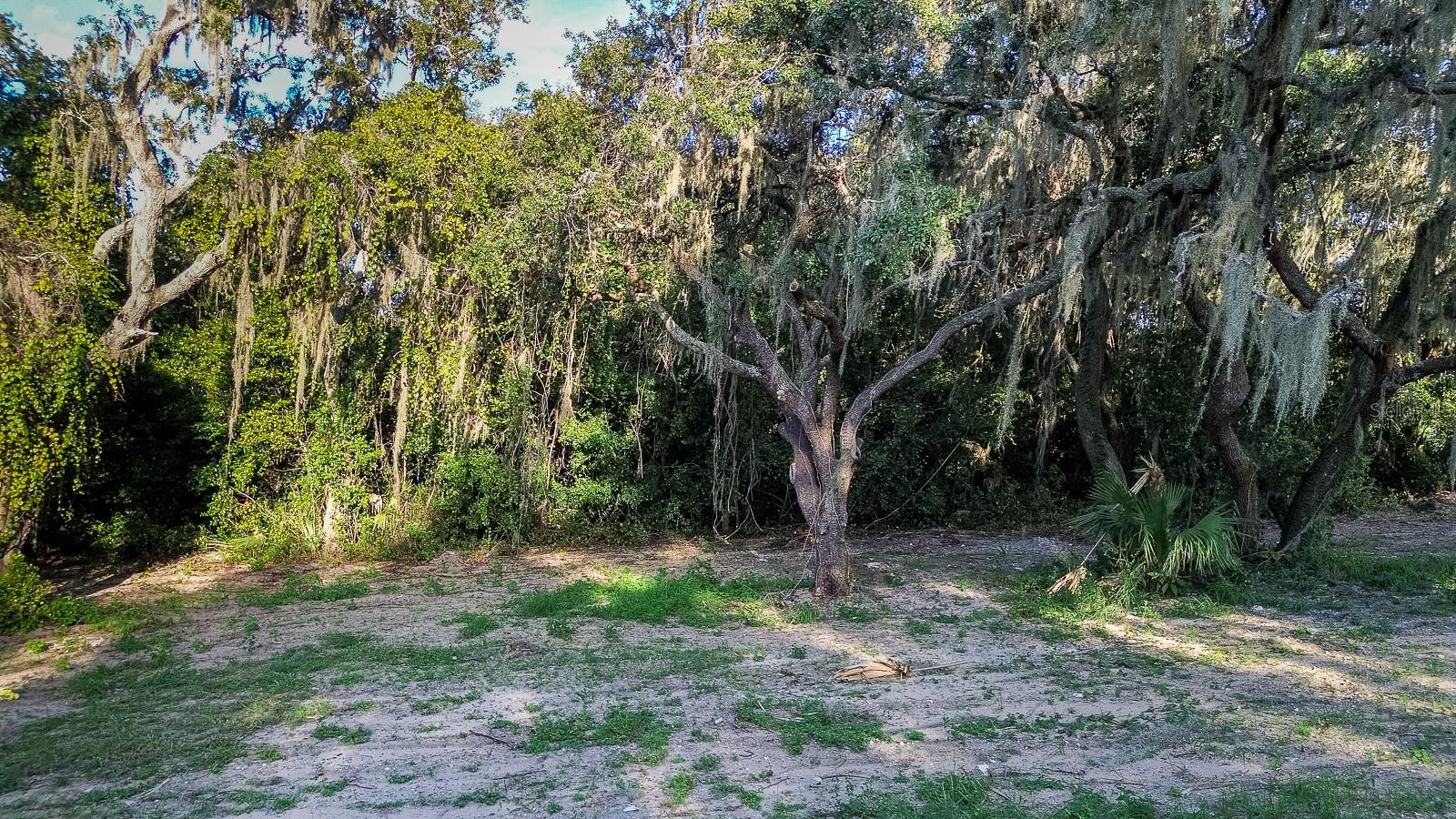 REPLAT OF MCCONNELLS SUB - Land