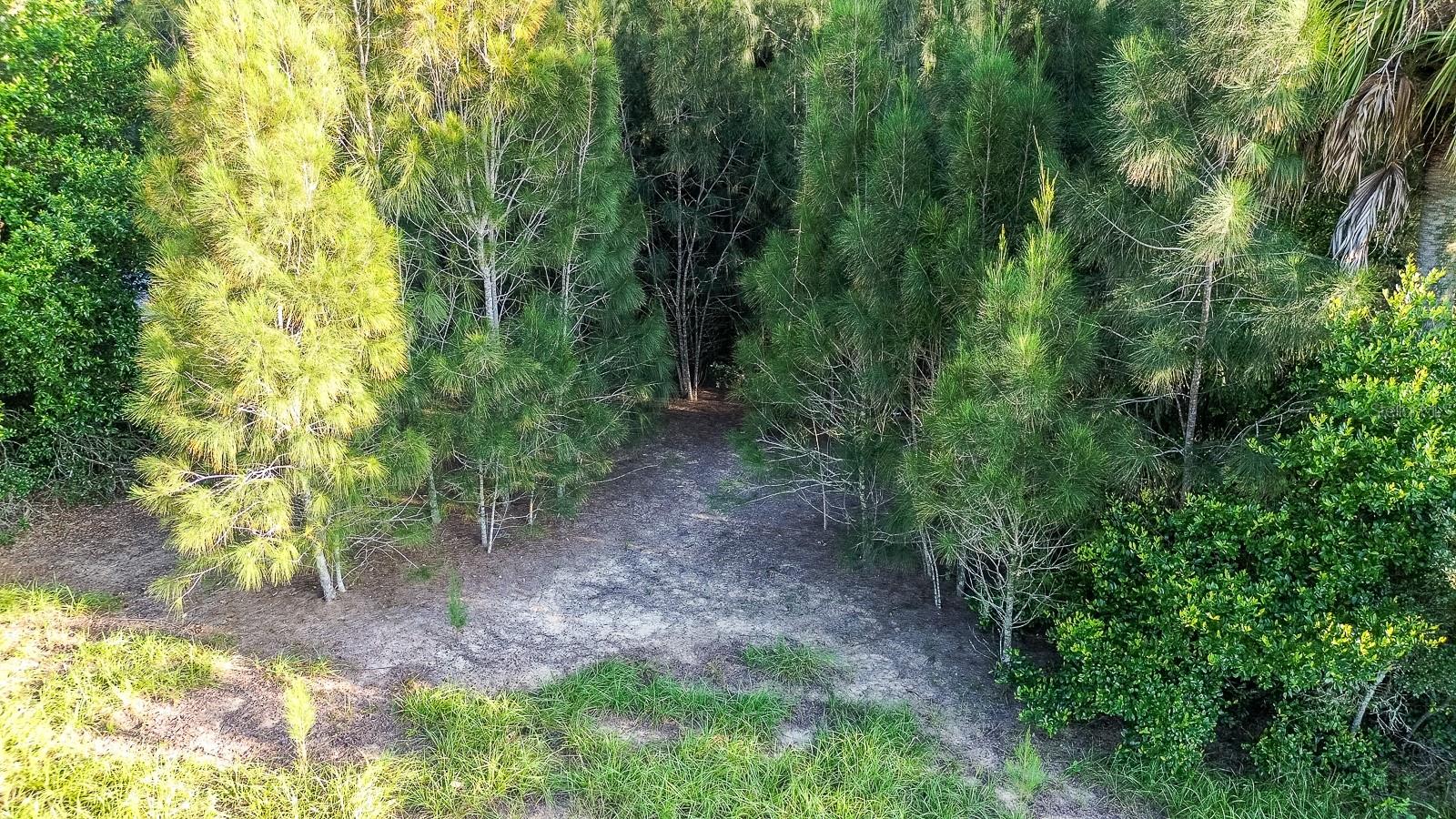 REPLAT OF MCCONNELLS SUB - Land