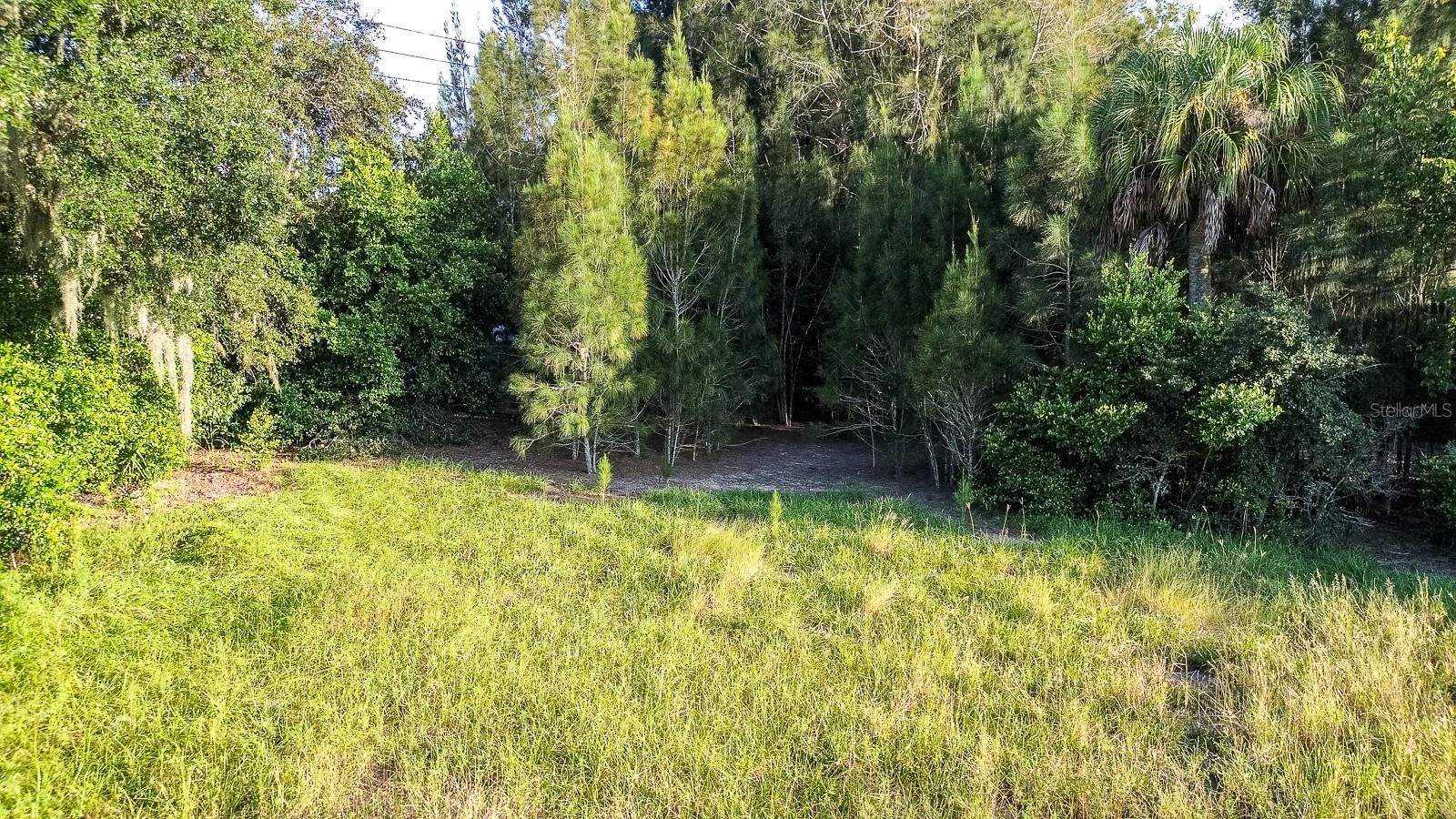 REPLAT OF MCCONNELLS SUB - Land