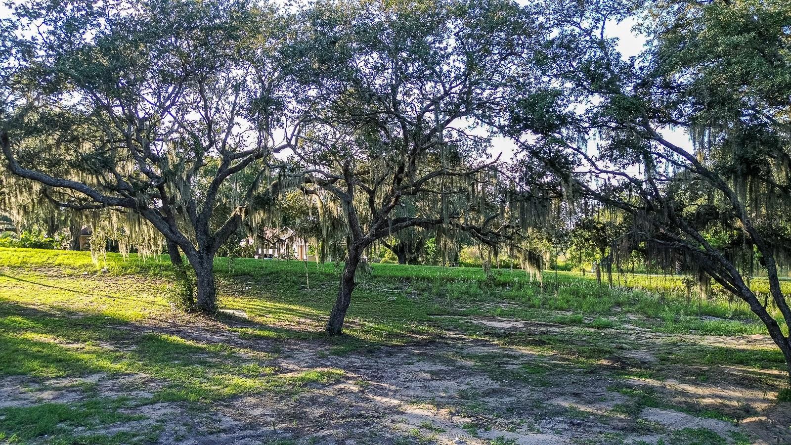 REPLAT OF MCCONNELLS SUB - Land