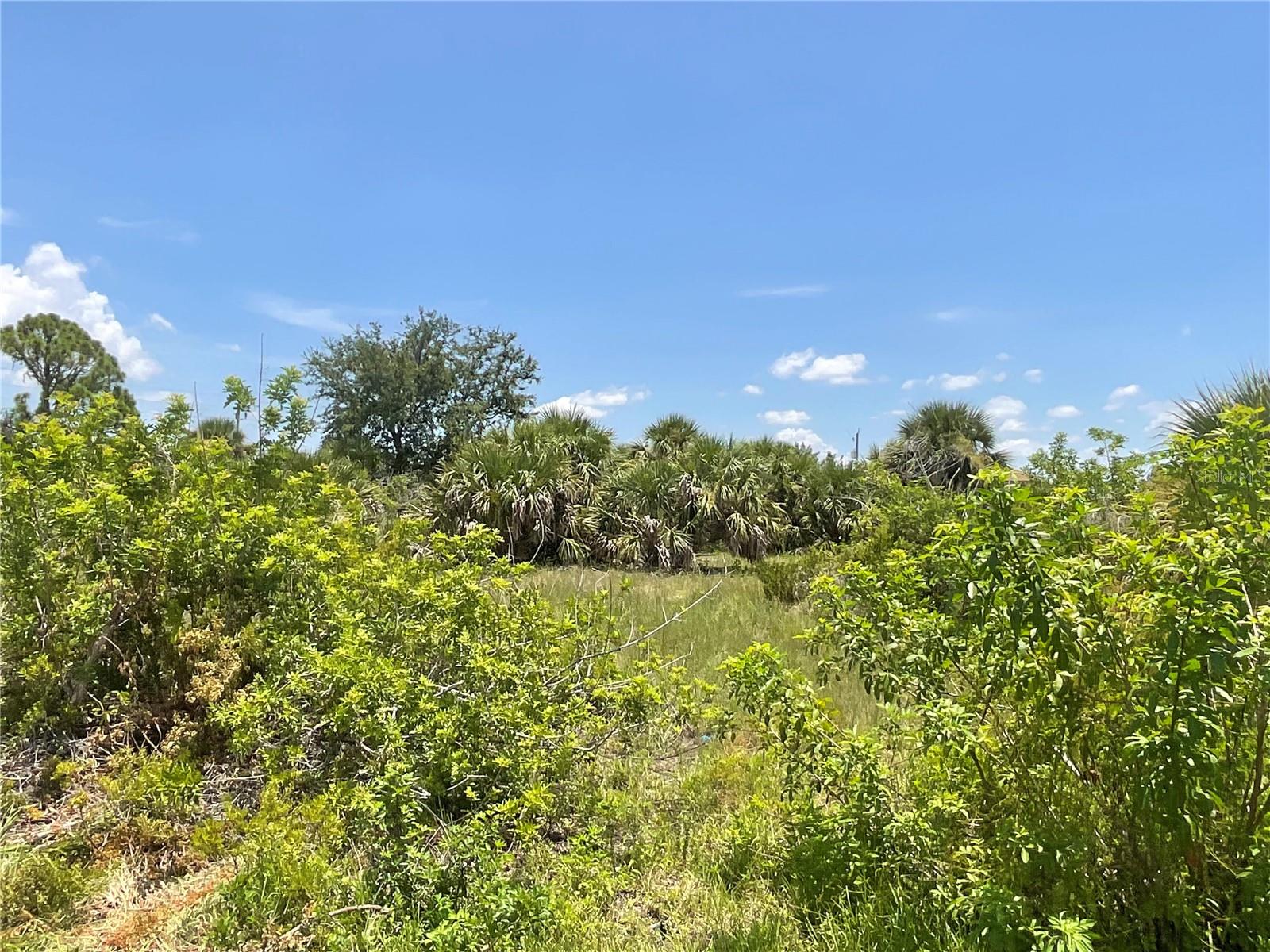 Build your dream waterfront home in the highly sought-after boating community of South Gulf Cove in Port Charlotte, Florida! This exceptional lot offers direct water access via a wide canal leading to a lagoon, Charlotte Harbor, and the Gulf of Mexico—perfect for world-class boating and fishing enthusiasts. Located in a deed-restricted neighborhood filled with beautiful waterfront homes, South Gulf Cove features over 55 miles of navigable canals protected by a lock system, ensuring minimal tidal impact. Enjoy access to community amenities including boat ramps, parks, a playground, and a voluntary HOA. Public water and sewer are available, making this lot ready for construction. Ideally situated near stunning Gulf beaches, championship golf courses, Boca Grande, shopping, dining, top-rated schools, hospitals, airports, and the Tampa Bay Rays Spring Training Stadium. Don’t miss this rare opportunity to own a prime waterfront lot in one of Southwest Florida’s most desirable communities! Ask for recommendations of several builders already familiar with this great community.