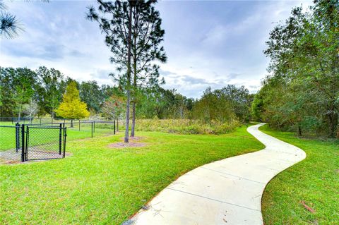 A home in ZEPHYRHILLS