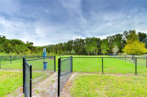 A home in ZEPHYRHILLS