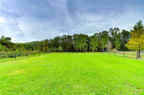 A home in ZEPHYRHILLS