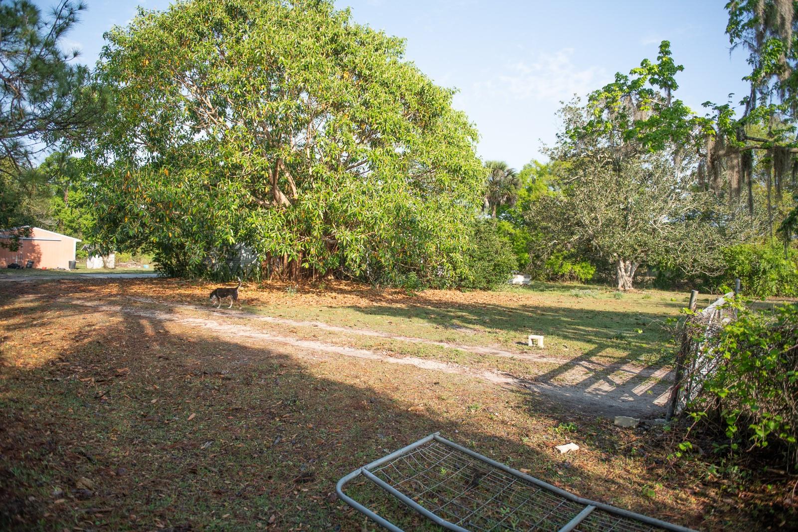 SEMINOLE LAND & INV CO - Residential