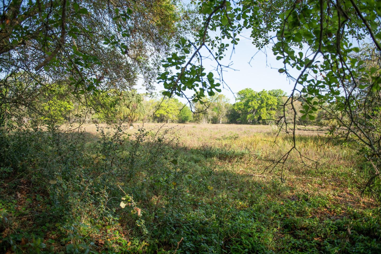 SEMINOLE LAND & INV CO - Residential