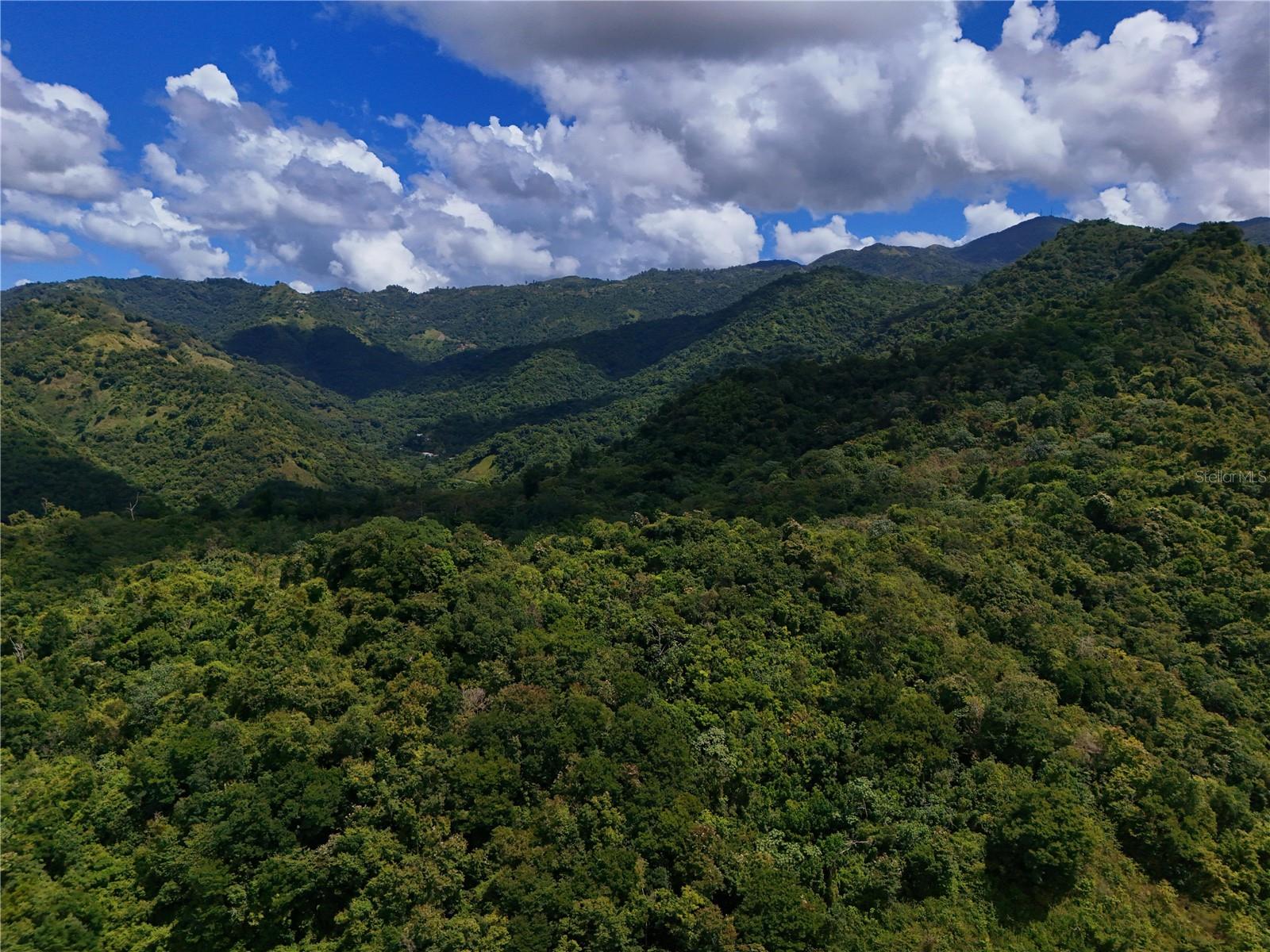 ANTON, PONCE - LOTE - Land