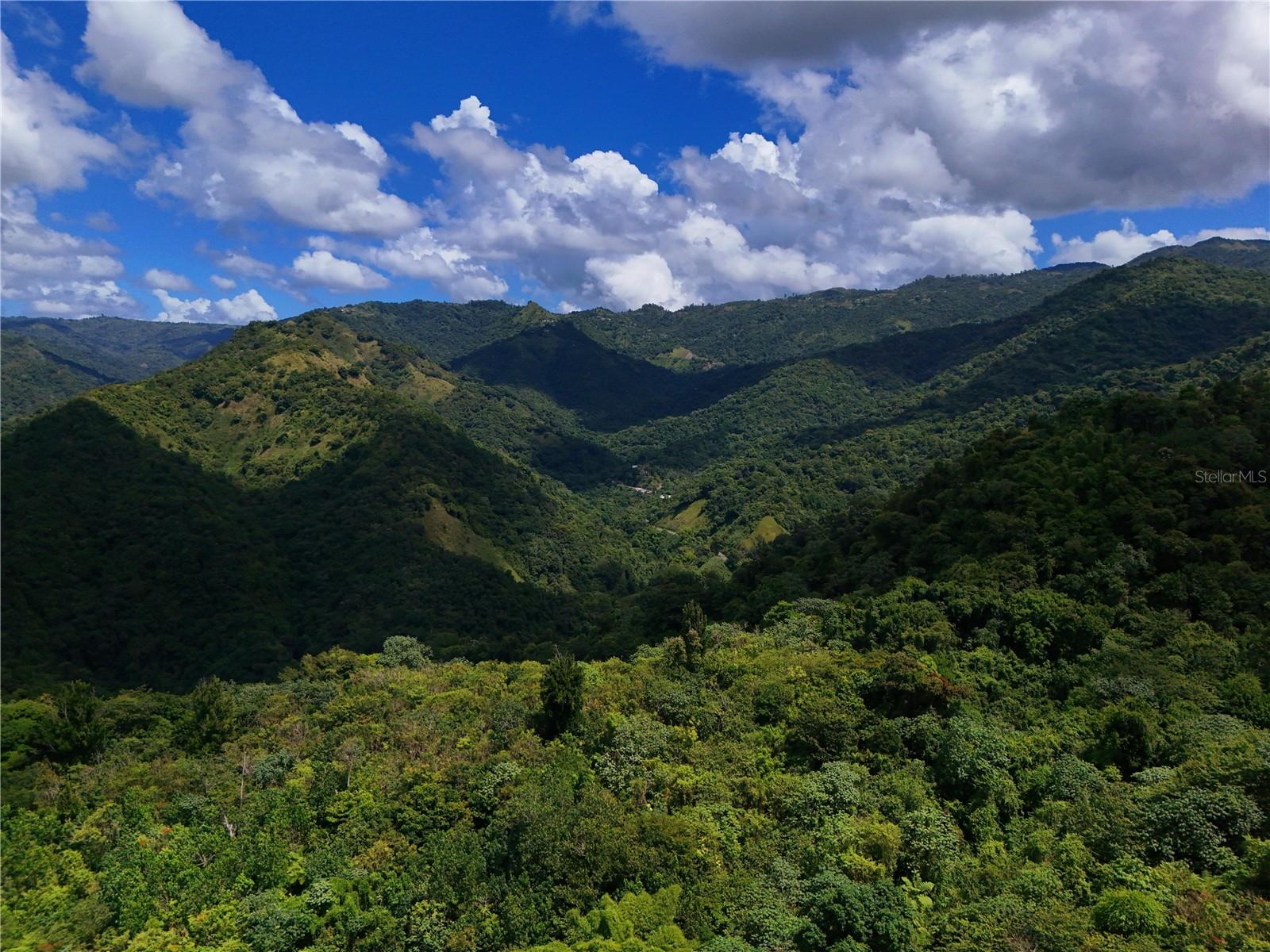 ANTON, PONCE - LOTE - Land