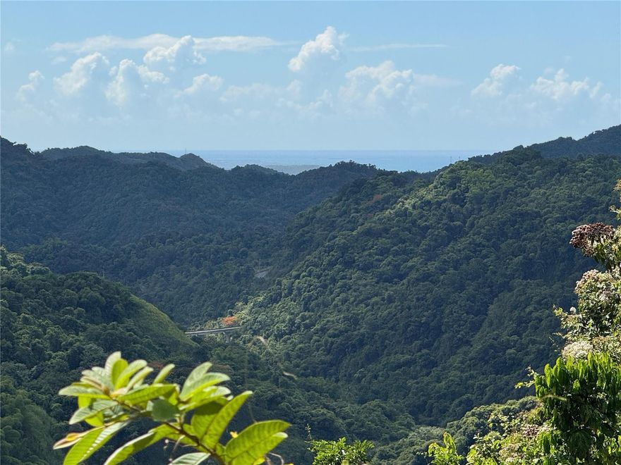 Discover this hidden gem perched atop the mountains of Ponce, surrounded by lush vegetation and breathtaking views. This unique property offers private road access, ensuring complete privacy and tranquility. Natural streams run through the land, adding charm and a sense of self-sufficiency.

Historically, this fertile land produced its own coffee, highlighting its strong agricultural potential. With flat areas ideal for construction, the property provides the perfect opportunity to bring your dream home or project to life—whether as a private residence, an eco-retreat, or a peaceful rural estate.

Don’t miss this rare opportunity to reconnect with nature and enjoy elevated living, unmatched views, serenity, and limitless potential.