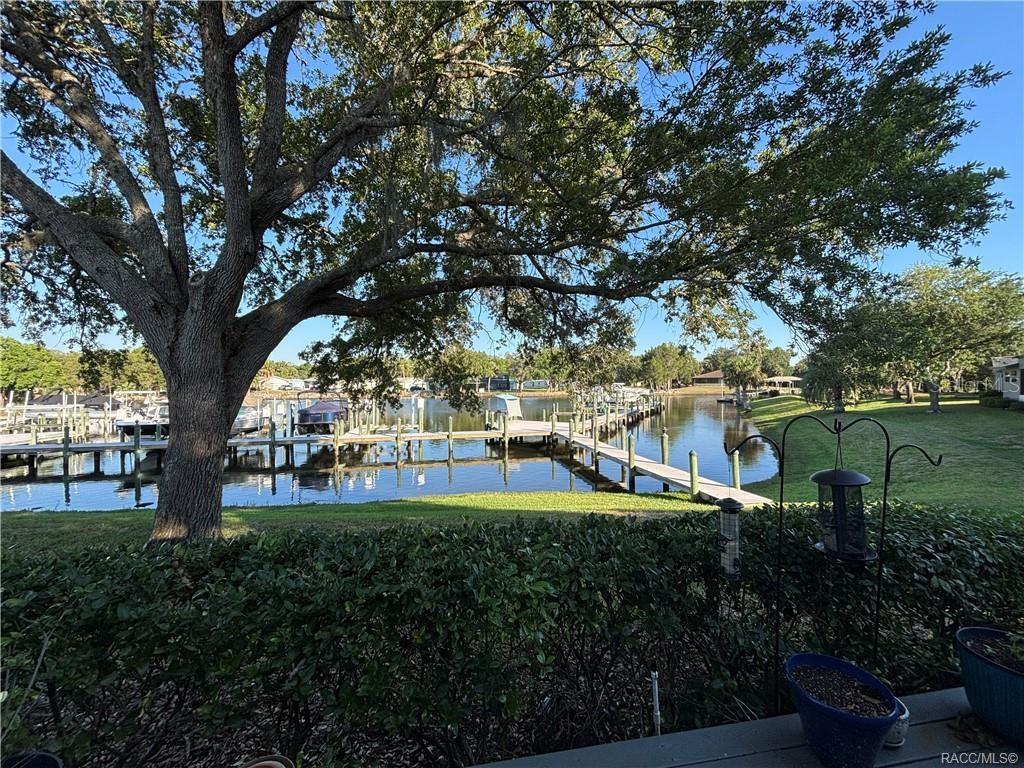 Photo of 11014 W Cove Harbor Drive, Crystal River, FL 34428 (MLS # CC858480)