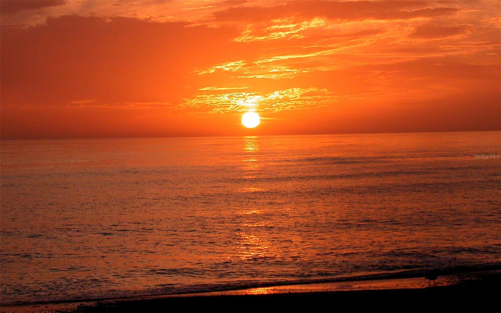 SARASOTA BEACH - Land