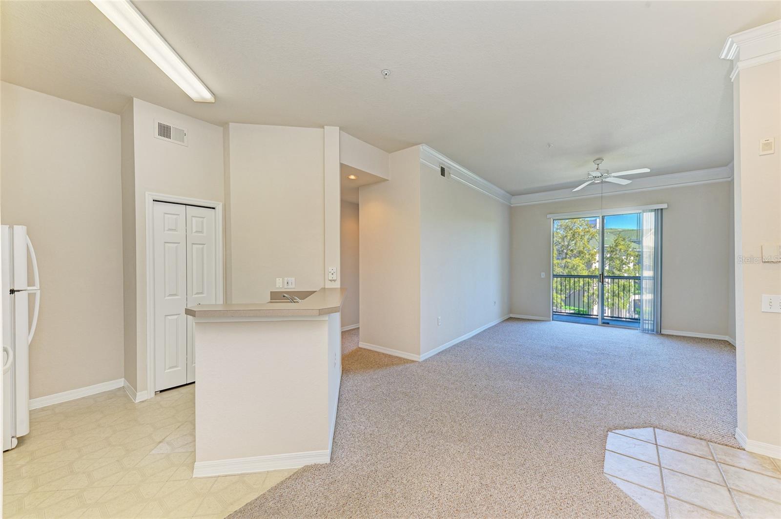 SERENADE ON PALMER RANCH - Residential
