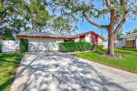 A home in PALM HARBOR