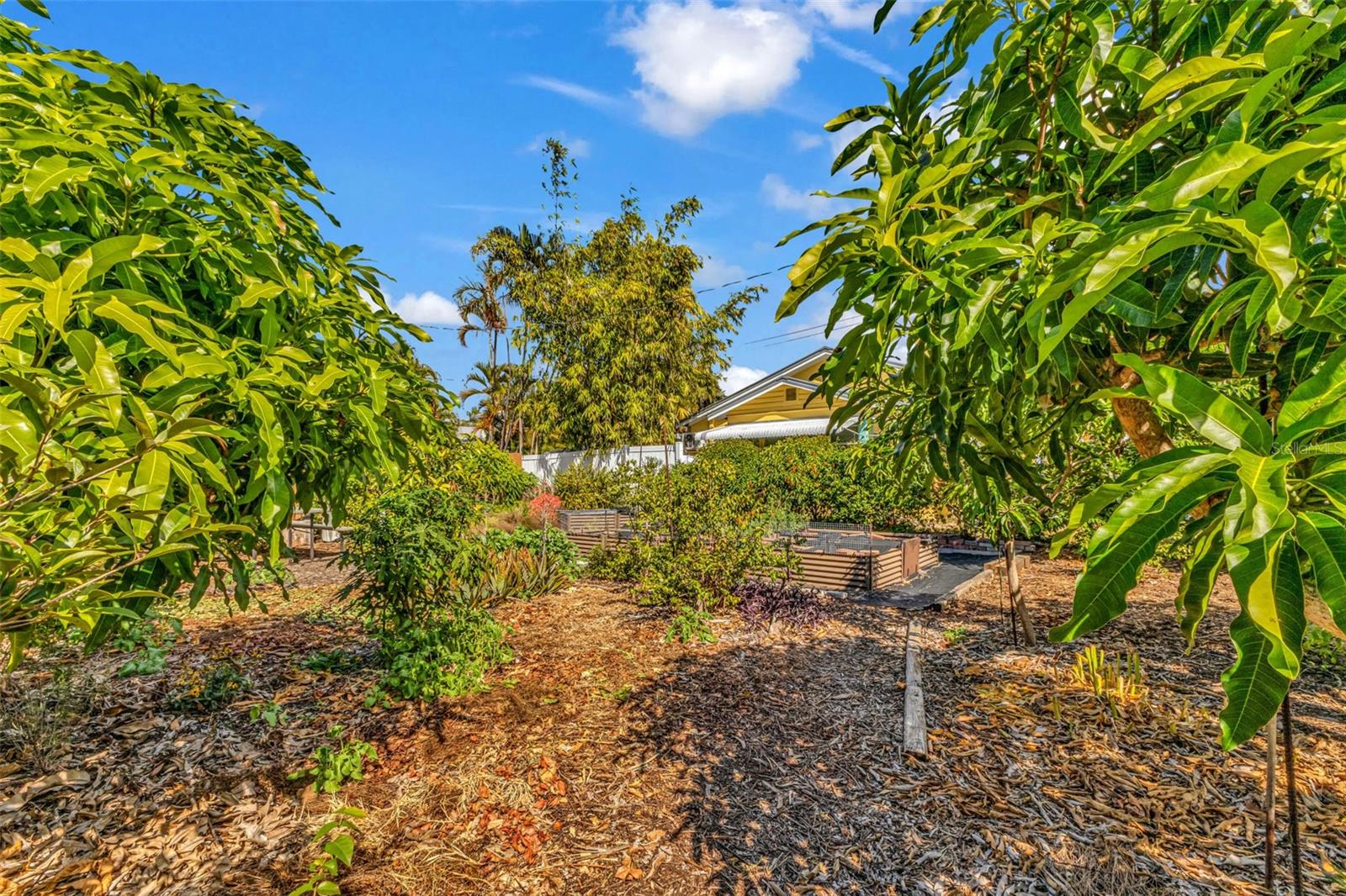 PUNTA GORDA - Residential