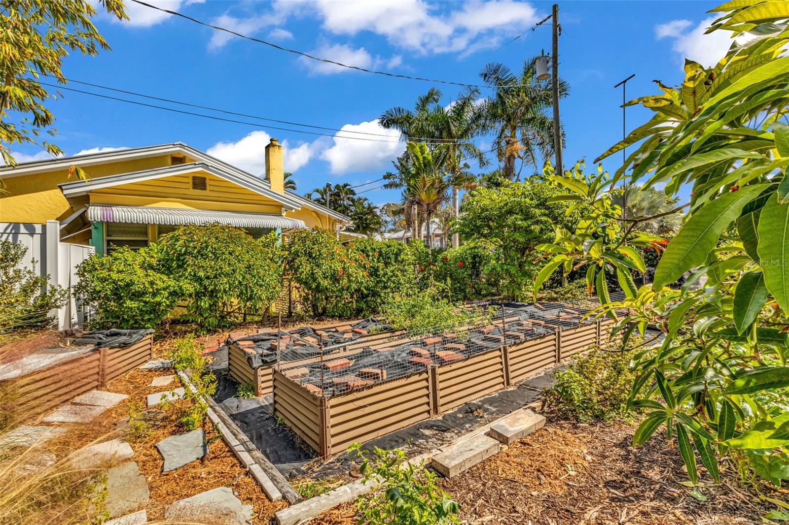 PUNTA GORDA - Residential