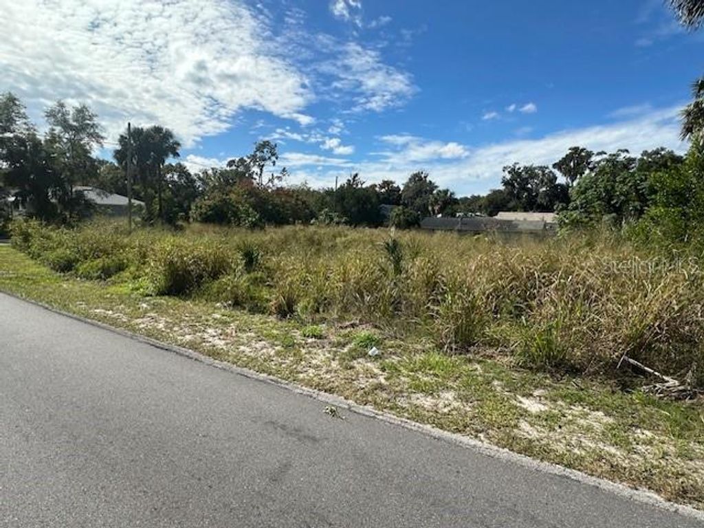 Photo of 512 S Adelle Avenue, Deland, FL 32720 (MLS # V4945737)