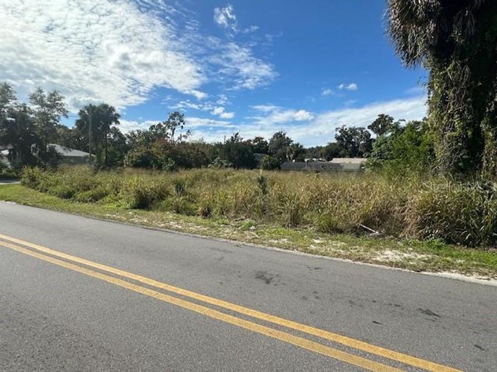 Photo of 512 S Adelle Avenue, Deland, FL 32720 (MLS # V4945737)