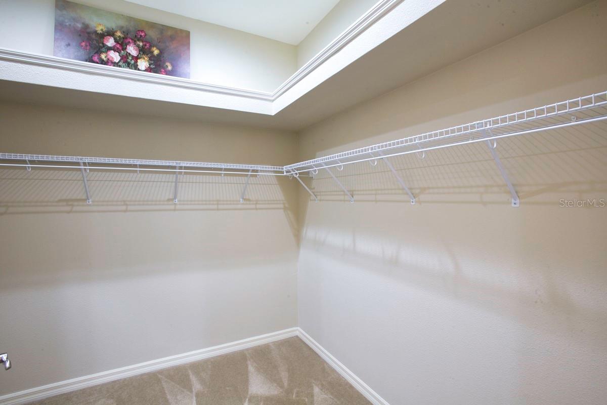 PALMA SOLA TRACE - Residential