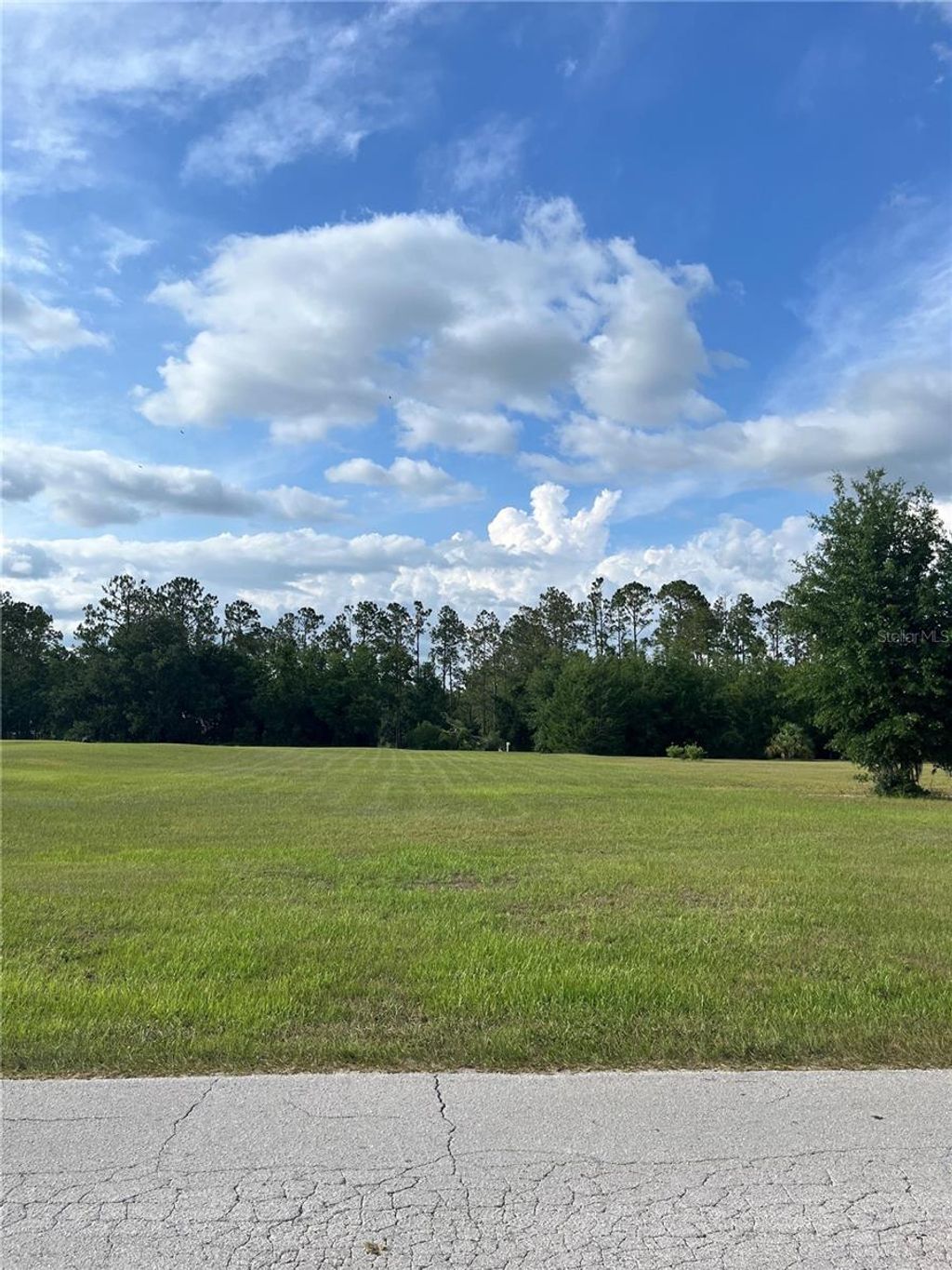 Photo of 12940 Curley St, San Antonio, FL 33576 (MLS # TB8395850)