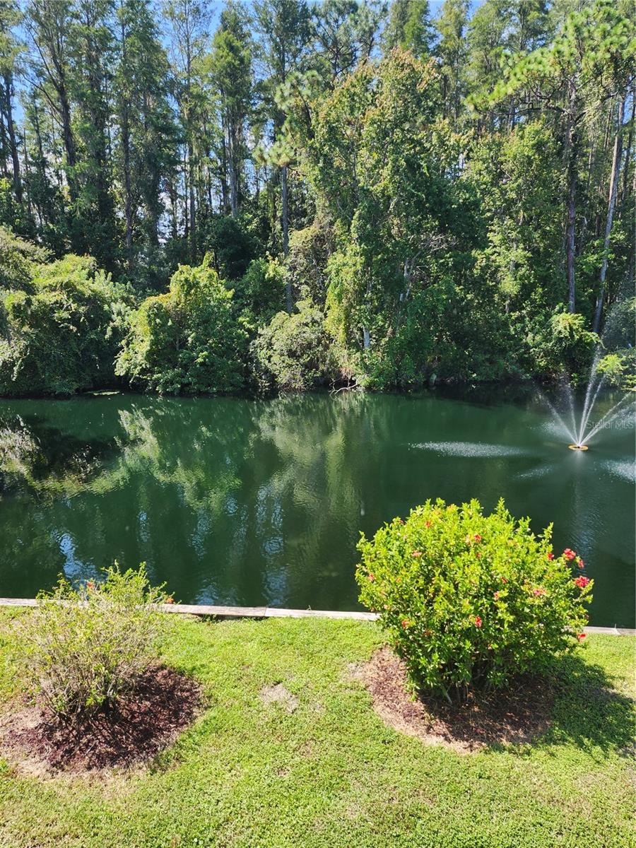 PARADISE LAKES RESORT CONDO - Residential