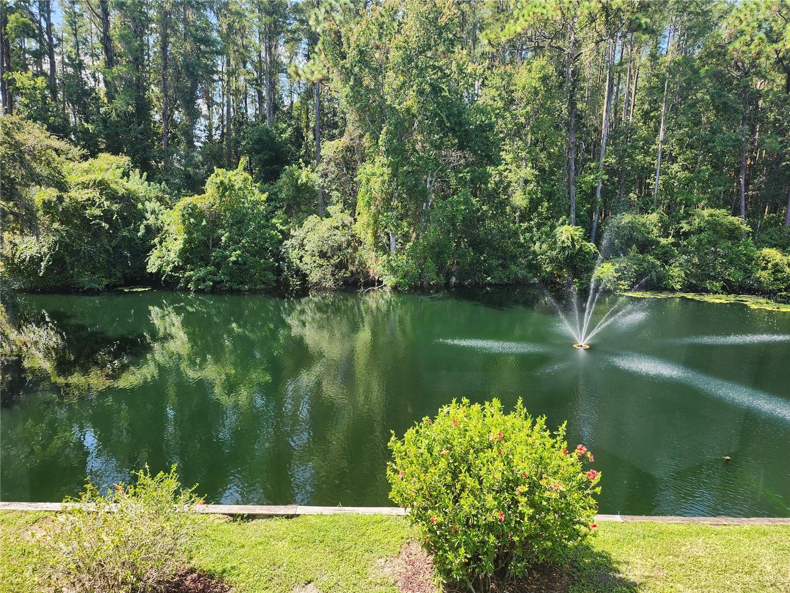 PARADISE LAKES RESORT CONDO - Residential