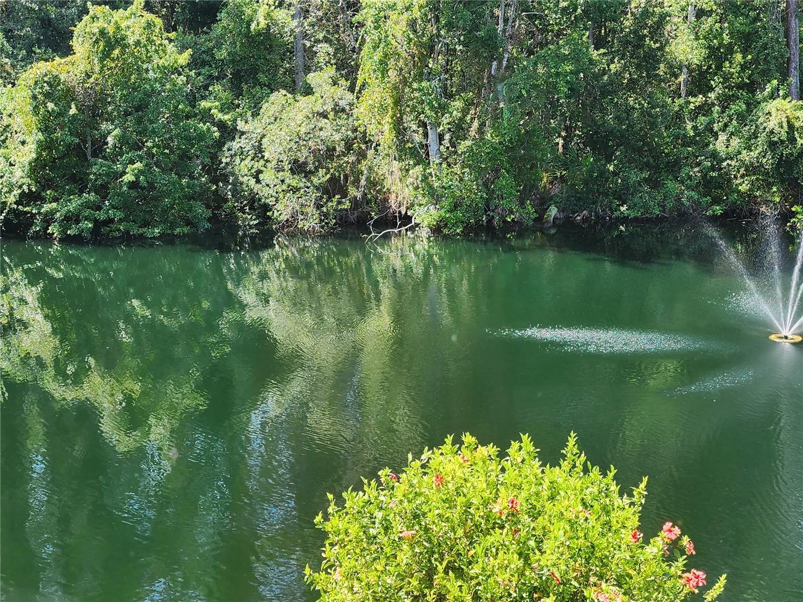 PARADISE LAKES RESORT CONDO - Residential