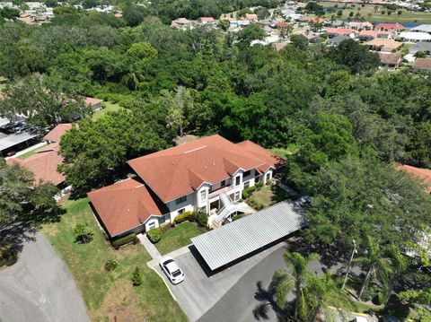 A home in SUN CITY CENTER