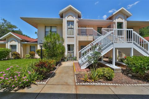 A home in SUN CITY CENTER